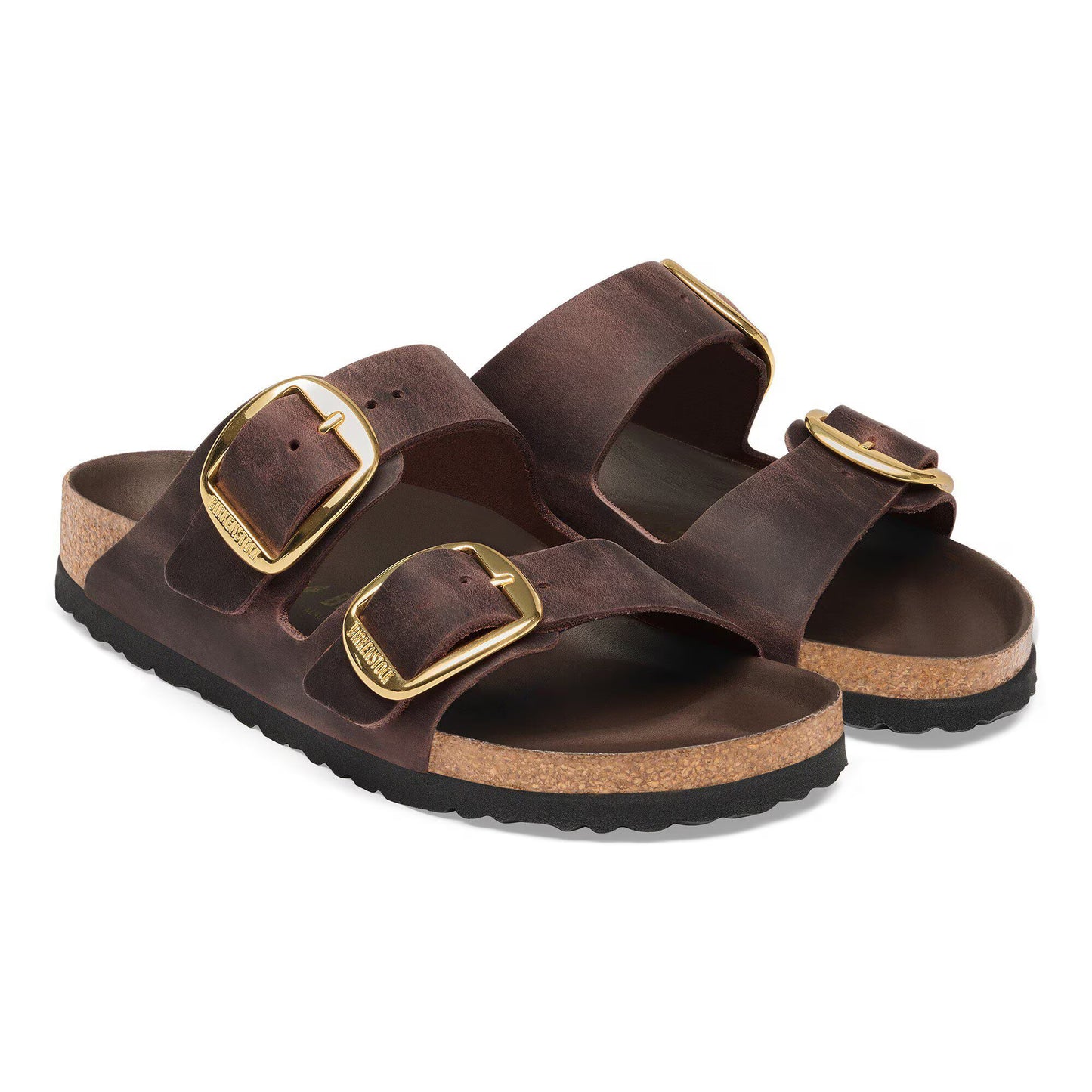 Arizona Habana Big Buckle Narrow