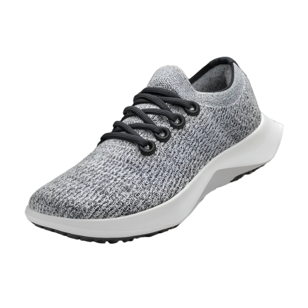 Men's Tree Dasher 2 Blizzard/Natural Black/Blizzard