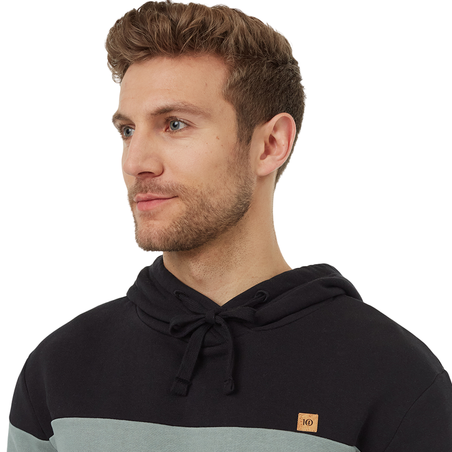 Men's TreeFleece Blocked Reynard Hoodie (Meteorite Black/Eucalyptus/Light Urban Green)