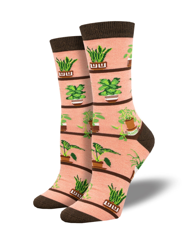 Houseplants - Pink