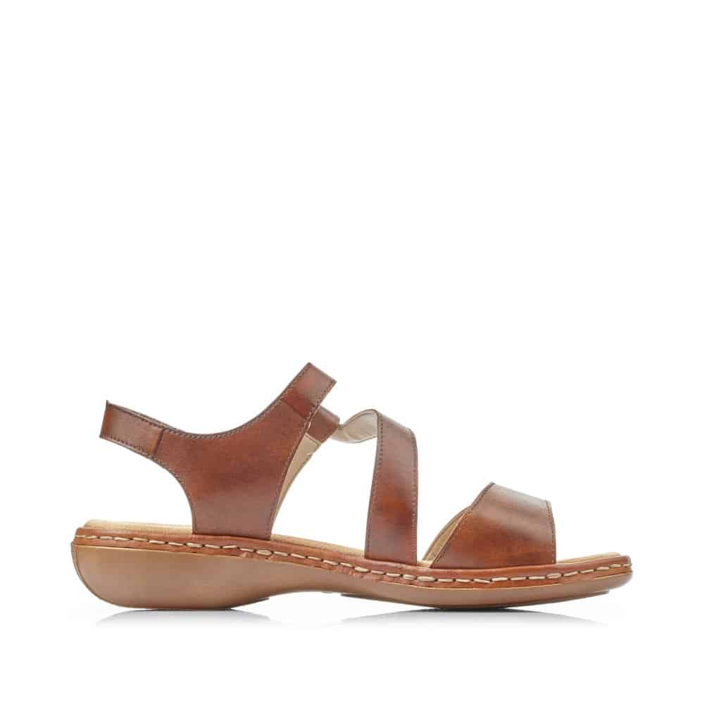 659C7-24 Brown Adj Velcro