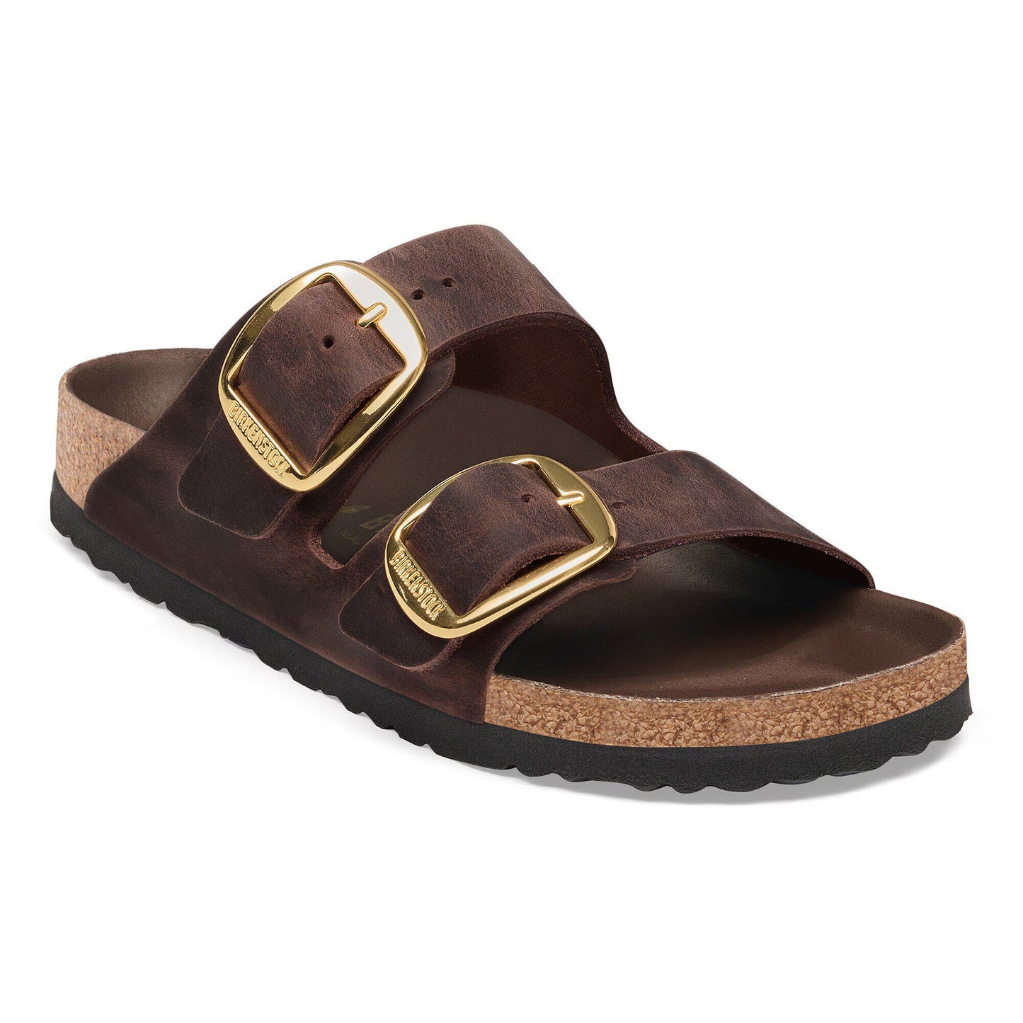 Arizona Habana Big Buckle Narrow