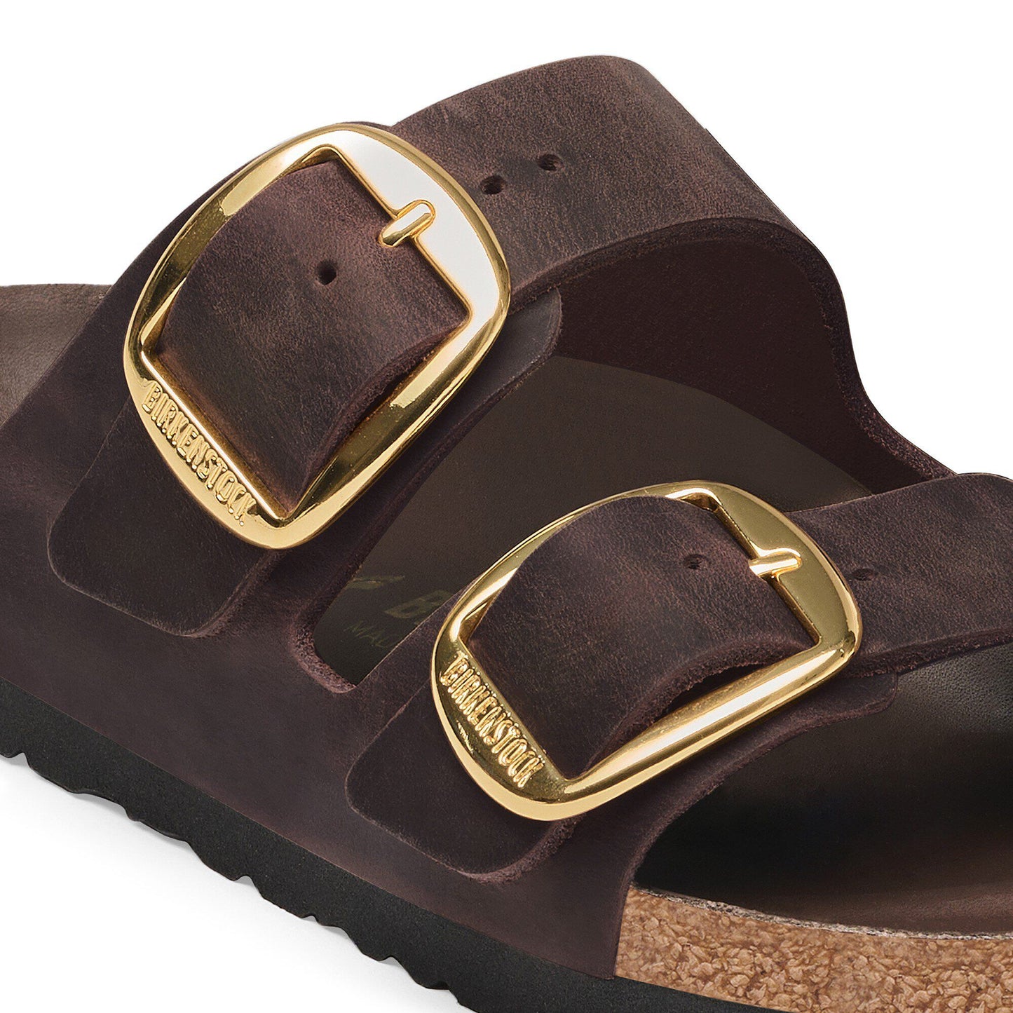 Arizona Habana Big Buckle Narrow