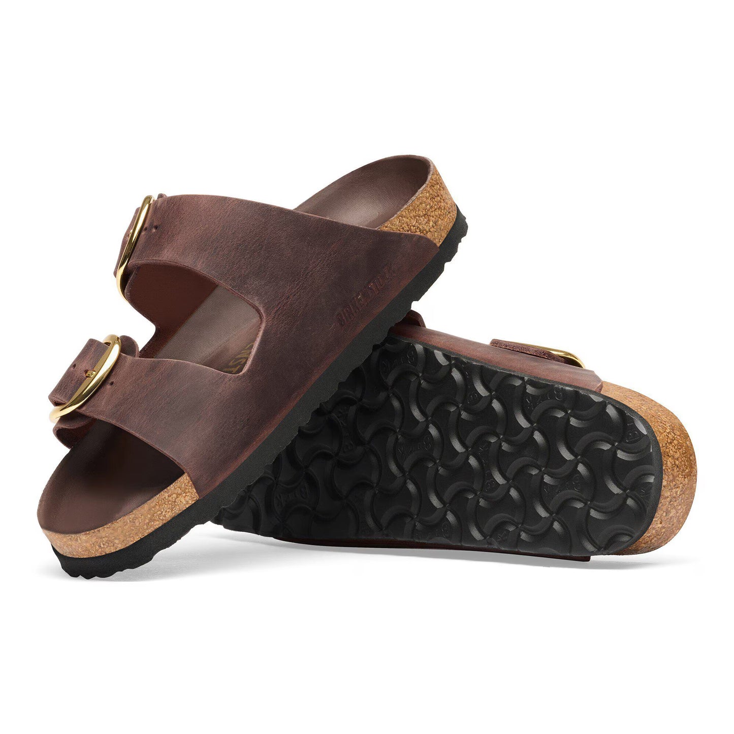 Arizona Habana Big Buckle Narrow