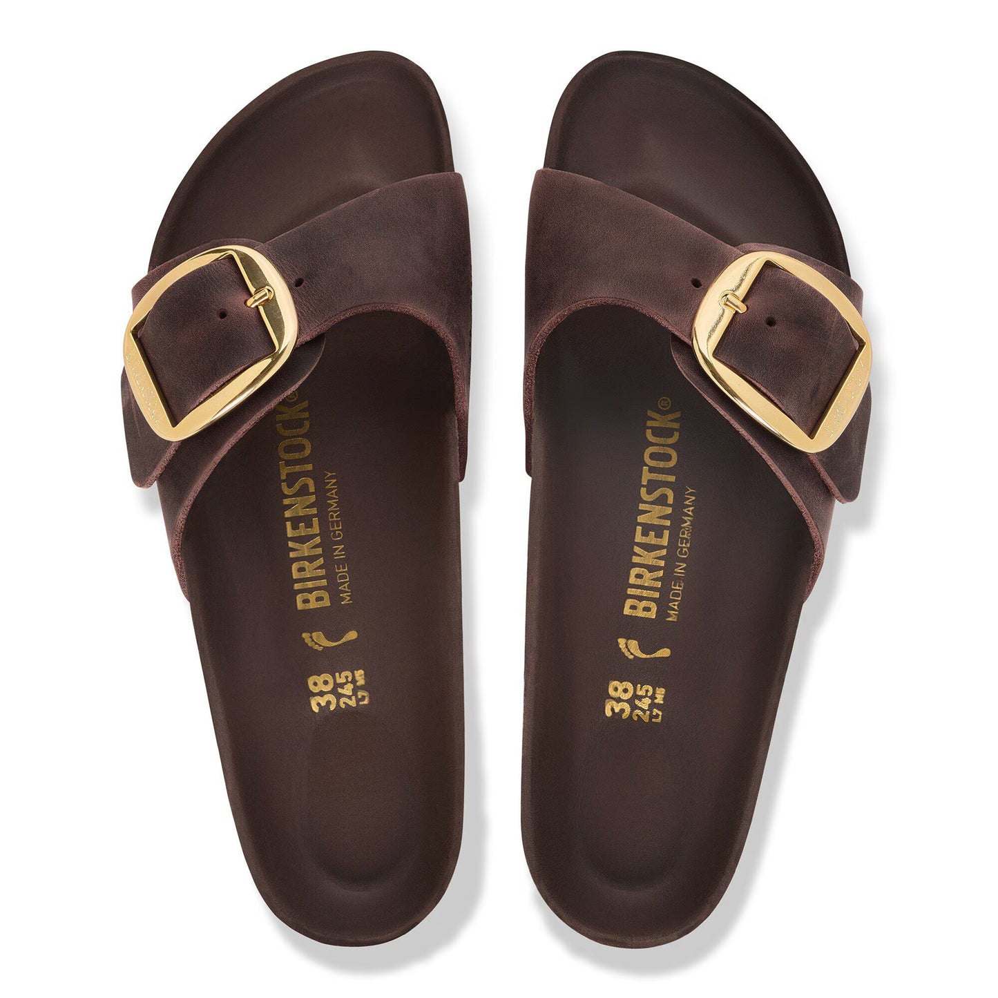 Madrid Big Buckle Habana Narrow