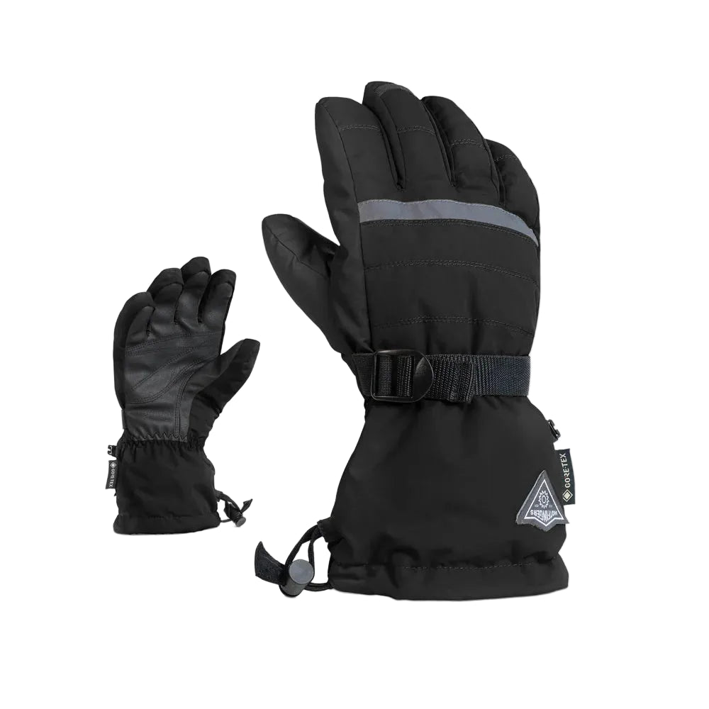 Women's Alpine Gore-Tex Glove Black/Grey