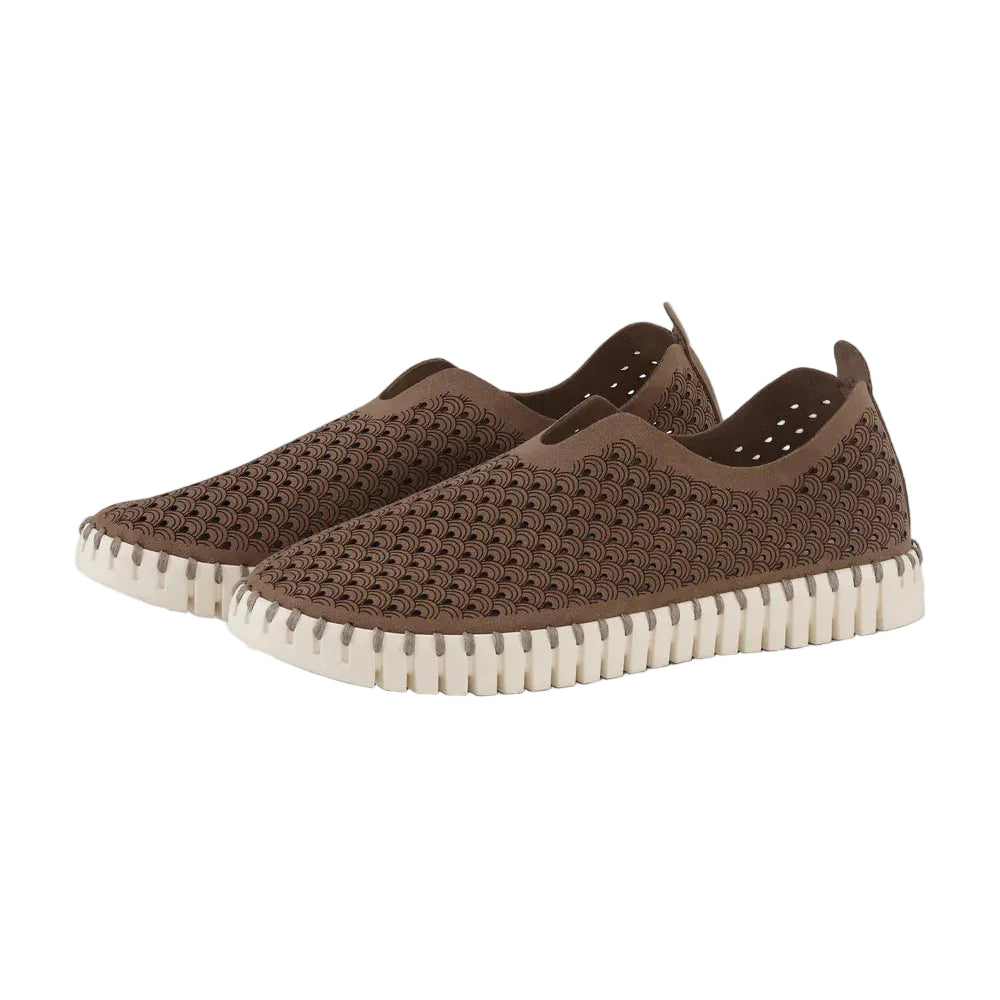 Tulip 139 Mocha