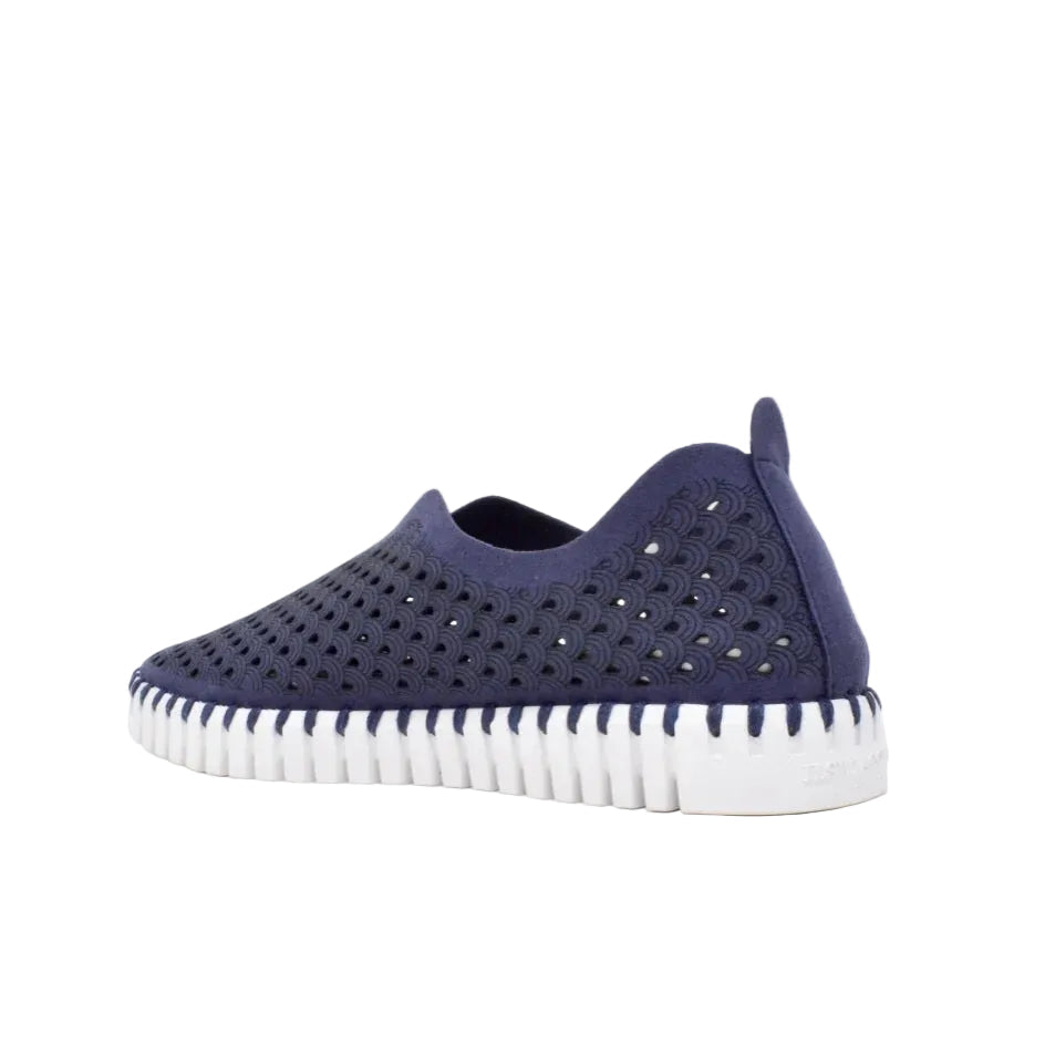 Tulip 139 Navy